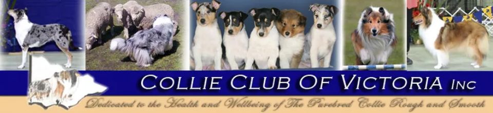 Collie Club of Victoria Inc